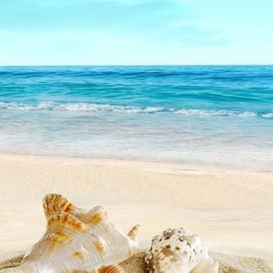 Meet your Posher, Marion